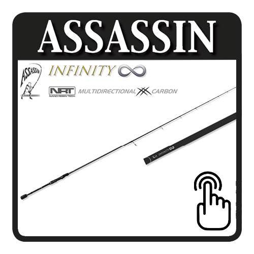 assassin infinity